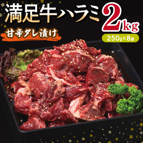 【満足牛ハラミ】甘辛タレ漬け 合計2kg 【味付け ハラミ 小分け 焼くだけ 簡単調理 BBQ 牛肉 250g×8P】 099H3713 2202815 - 大阪府泉佐野市