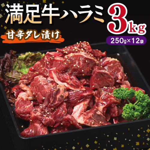 【満足牛ハラミ】甘辛タレ漬け 合計3kg 【味付け ハラミ 小分け 焼くだけ 簡単調理 BBQ 牛肉 250g×12P】 099H3714 2202816 - 大阪府泉佐野市