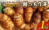 【先行受付】 里芋 「餅っちり芋」 新鮮 採りたて 1kg 令和7年産 栽培期間中農薬不使用 希少 在来種 さといも サトイモ 芋 イモ いも 特産品 野菜 つぐちゃん畑 新潟 新潟県 新発田産 新発田市 tsuguchan003