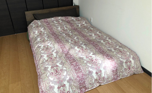 ダウンエッセンス(ポリエステル)夏用肌掛け布団0.8kg シングル1枚(色：赤系) 2202970 - 北海道滝川市