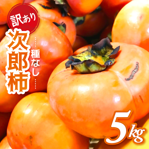【令和7年産柿/先行予約】《 訳あり 》5kg 次郎柿 たねなし 柿 かき フルーツ 家庭用 訳あり 規格外 わけあり 不揃い ふぞろい 種なし 干し柿 先行 先行予約 三重県 多気町 GF-17 2203023 - 三重県多気町