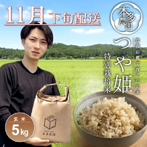 SB0740　11月下旬配送／令和7年産【玄米】特別栽培米 つや姫　5kg 農家直送 HO 2203064 - 山形県酒田市
