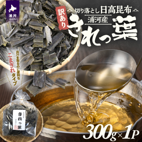 【訳あり】浦河産切り落とし日高昆布「きれっ葉」300g×1P[60-1487] 2203092 - 北海道浦河町