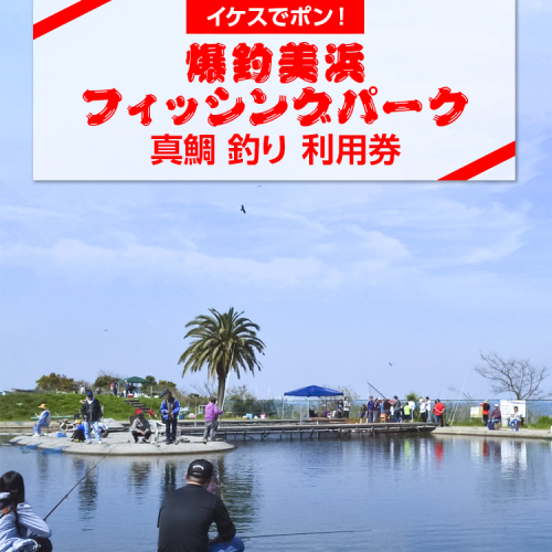 【イケスでポン！】爆釣 美浜フィッシングパーク 真鯛 釣り 体験 チケット ｜ 海釣り 釣り堀 釣堀 旅行 アクティビティ アウトドア スポーツ ギフト券 券 体験チケット 釣り竿 釣竿 竿 釣り餌 レンタル 釣 愛知県 美浜町 知多半島 2203360 - 愛知県美浜町
