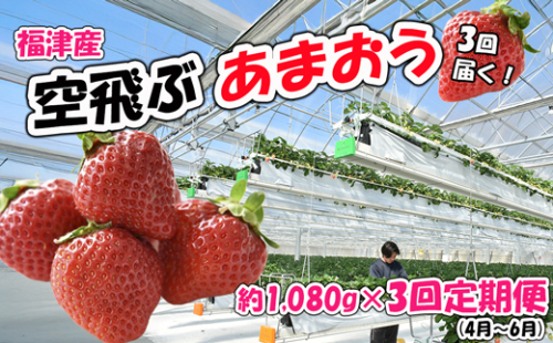 【3回届く！（4月～6月）】福津産『空飛ぶあまおう』約1,080g×3回定期便【スカイフローラファーム】[G7056] 2203369 - 福岡県福津市