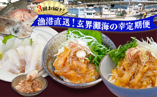 【3回届く！】漁港直送！玄界灘海の幸定期便★水揚げされたての高鮮度を活かした地魚刺身・漬けを3回お届け！[G7059] 2203440 - 福岡県福津市