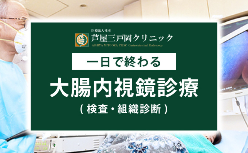 1日で終わる 大腸内視鏡診療 (日帰り) 1名様【芦屋三戸岡クリニック】消化器内視鏡専門クリニック 大腸検査 内視鏡検査 大腸がん 大腸ポリープ などの 早期発見 早期対策 早期治療 健康 カウンセリング 2203682 - 兵庫県芦屋市