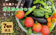 [丘の風ファーム 野菜詰め合わせセット]