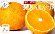 訳あり 森本農園の手選別 小粒清見オレンジ 約2kg 和歌山県産 2S～Mサイズ混合 ［北海道・沖縄・離島配送不可］［2026年2月上旬から5月中旬頃順次発送予定］［RN96］