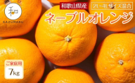 家庭用 森本農園の手選別 大玉ネーブルオレンジ 約7kg 和歌山県産 2L~4Lサイズ混合 ［北海道・沖縄・離島配送不可］［2026年1月上旬から順次発送］［RN106］
