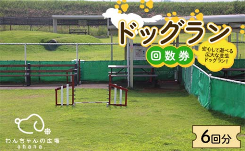 ドッグラン回数券 6回分（6,000円分）体験 ペット 犬 体験チケット チケット F6T-803 2204316 - 富山県立山町