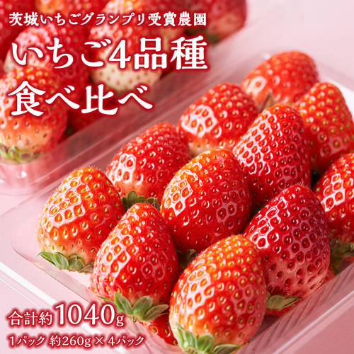 【 茨城いちごグランプリ 受賞 農園 】 完熟 いちご 4品種 食べ比べ セット イチゴ 苺 フルーツ 果物 果実 いばらキッス ひたち姫 とちおとめ やよいひめ よつぼし すず はるひ かおり野 ほしうらら [DY001ci] 2204626 - 茨城県筑西市