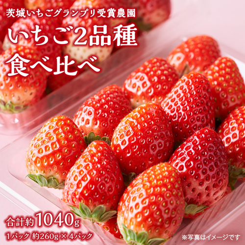 【 茨城いちごグランプリ 受賞 農園 】 完熟 いちご 2品種 食べ比べ セット 茨城県オリジナル品種 イチゴ 苺 フルーツ 果物 果実 いばらキッス ひたち姫 [DY002ci] 2204627 - 茨城県筑西市