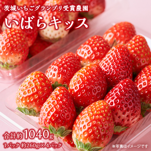 【 茨城いちごグランプリ 受賞 農園 】 完熟 いばらキッス 4パック 茨城県オリジナル品種 イチゴ 苺 フルーツ 果物 果実 [DY003ci] 2204628 - 茨城県筑西市
