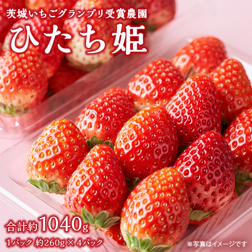 【 茨城いちごグランプリ 受賞 農園 】 完熟 ひたち姫 4パック 茨城県オリジナル品種 イチゴ 苺 フルーツ 果物 果実 [DY004ci] 2204629 - 茨城県筑西市