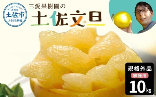 【先行予約】　文旦 約10kg 10キロ L～4Lサイズ〈2027年2月上旬から順次発送〉 土佐文旦 みかん 柑橘 ぶんたん ブンタン 果物 フルーツ デザート おやつ 三愛果樹園の土佐文旦 おいしい 美味しい【三愛果樹園】[BQAO013] 2204633 - 高知県土佐市