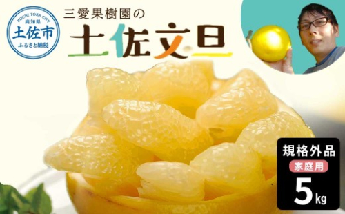 【先行予約】　文旦 約5kg 5キロ L～4Lサイズ 土佐文旦 みかん 柑橘 ぶんたん ブンタン 果物 フルーツ デザート おやつ 三愛果樹園の土佐文旦 おいしい 美味しい【三愛果樹園】 [BQAO012] 2204655 - 高知県土佐市