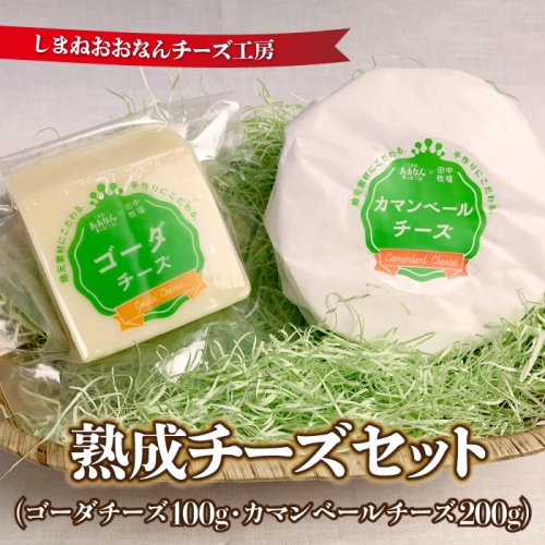 熟成チーズセット（ゴーダチーズ100g・カマンベールチーズ200g） 2204707 - 島根県邑南町