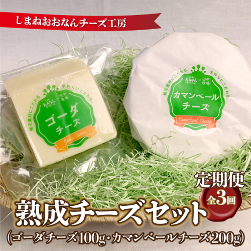 【定期便3回】熟成チーズセット（ ゴーダチーズ100g・カマンベールチーズ200g） 2204709 - 島根県邑南町