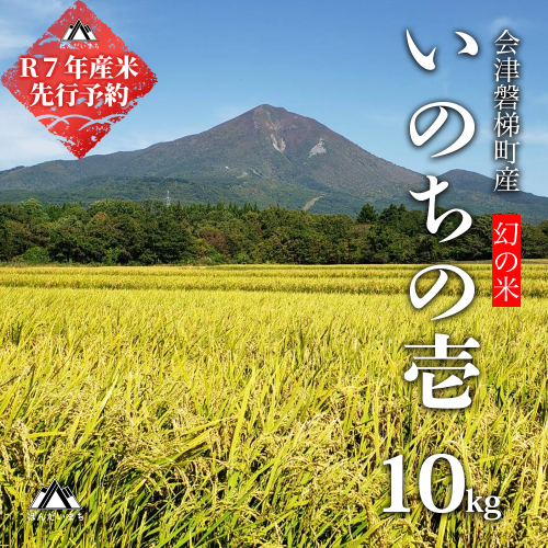 【予約】【令和7年産・新米】幻の米 いのちの壱 特別栽培米 10kg 【減農薬・減化学肥料】 2204716 - 福島県磐梯町