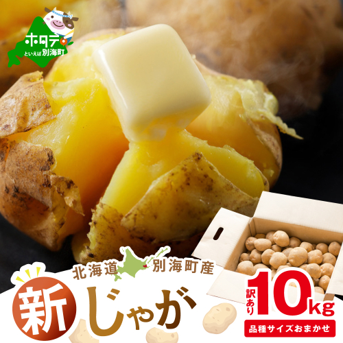 2025年10～12月発送 北海道別海町産 じゃがいも10kg (１種おまかせ) 【JV0000001】 (きたあかり、ワセシロ、男爵、メークイーン、レッドムーン） 2204874 - 北海道別海町