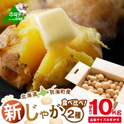 2025年10～12月発送 北海道別海町産 じゃがいも10kg (２種おまかせ)【JV0000003】 （きたあかり、ワセシロ、男爵、メークイーン、レッドムーン） 2204953 - 北海道別海町
