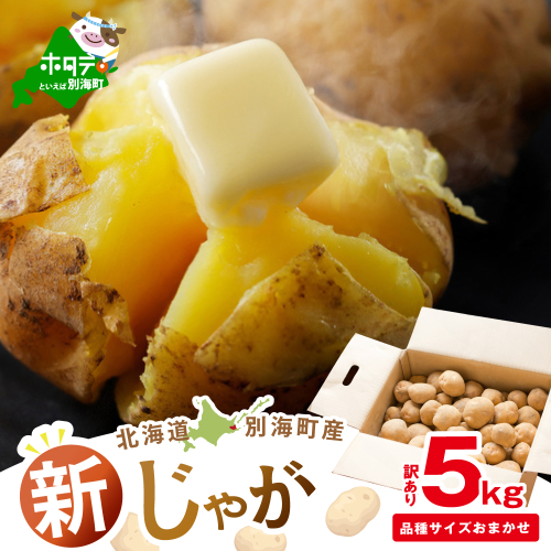 2025年10～12月発送 北海道別海町産 じゃがいも5kg(１種おまかせ)【JV0000005】（きたあかり、ワセシロ、男爵、メークイーン、レッドムーン） 2204955 - 北海道別海町