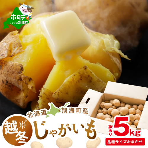 2026年3～4月発送 北海道別海町産 越冬じゃがいも5kg(１種おまかせ)【JV0000006】（きたあかり、ワセシロ、男爵、メークイーン、レッドムーン） 2204957 - 北海道別海町