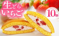 生どらいちご 10個 | いちご とちあいか 生どら どらやき お菓子 お茶菓子 菓子 お茶請け おちゃうけ おやつ ご褒美 贈答用 おいしい あまい スイーツ 和菓子 お茶 栃木県 那珂川町 送料無料