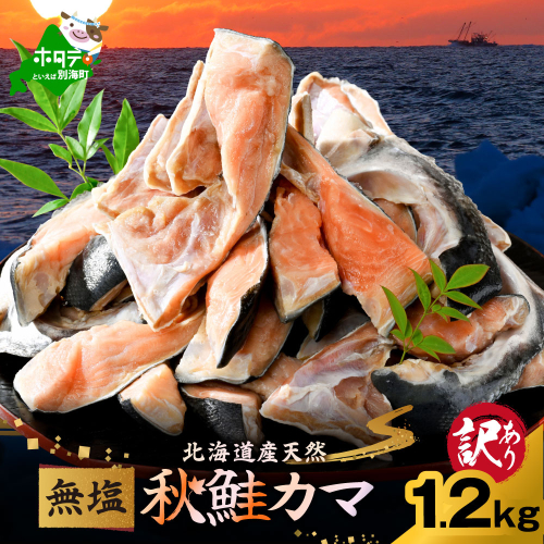 北海道産 秋鮭 カマ 1.2kg 無塩 2204986 - 北海道別海町