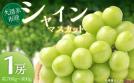 シャインマスカット _約700g〜800g 1房 糖度 高い 酸味 少ない 大粒 ハリがある 皮ごと 食べられる マスカット ぶどう 果物 フルーツ 果実 農家直送 冷蔵 プレゼント用 贈答用 旬の味覚 お取り寄せグルメ お取り寄せ グルメ 福岡県 久留米市 送料無料_Fg015