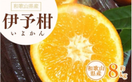 伊予柑(いよかん) 約8kg/サイズおまかせ　※2026年1月中旬～2026年2月中旬頃に順次発送予定(お届け日指定不可)　紀伊国屋文左衛門本舗　【ntb440B】