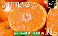 [2026年1月発送予約分] 光センサー選別 農家直送 こだわりの 完熟 有田みかん 約10kg+250g(傷み補償分) [ご家庭用]有機質肥料100% 有田みかん みかん ミカン 蜜柑 柑橘 果物 フルーツ 甘い 温州みかん 先行予約 [nuk101-01]