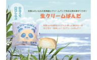 生クリームぱんだ （青うめ） 10個 もっちりふわふわのパンで包んだ絶品パン【inm910】