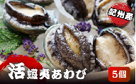 極上！紀州蝦夷鮑×5個　五つ星旅館にも出荷される極上アワビ＜日付指定OK＞【yas002】
