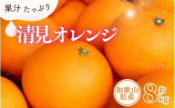 清見オレンジ約8kg / 果実サイズおまかせ ※2026年2月中旬～2026年4月下旬頃発送予定 / 紀伊国屋文左衛門本舗【sgtb401C】