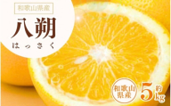 八朔(はっさく) 約5kg サイズおまかせ　紀伊国屋文左衛門本舗 ※2026年1月下旬～2026年4月上旬頃に順次発送予定【sgtb410B】