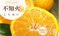 デコ不知火（デコポン） 約3kg/サイズおまかせ　※2026年2月上旬～2026年4月上旬頃に順次発送予定(お届け日指定不可)　紀伊国屋文左衛門本舗　【sgtb421C】
