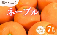 ネーブル 約7kg/サイズおまかせ　※2026年1月中旬～2026年2月中旬頃に順次発送予定(お届け日指定不可)　紀伊国屋文左衛門本舗【sgtb430B】