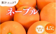 ネーブル 約4.5kg / サイズおまかせ　※2026年1月中旬～2026年2月中旬頃に順次発送予定(お届け日指定不可)　紀伊国屋文左衛門本舗【sgtb431C】