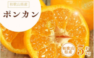 ポンカン 約5kg / サイズおまかせ　※2026年1月下旬～2026年2月下旬頃に順次発送予定(お届け日指定不可)　紀伊国屋文左衛門本舗　【sgtb451B】