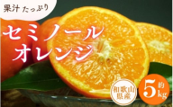 セミノールオレンジ 約5kg / サイズおまかせ　※2026年4月中旬～2026年5月下旬頃に順次発送予定(お届け日指定不可)　紀伊国屋文左衛門本舗【sgtb481B】