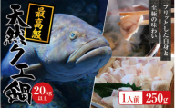 【冷凍】天然 最高級クエ 20kg 以上  クエ鍋セット 1人前(250g×1) 【2025年11月下旬から2026年2月下旬までに順次発送致します。】 / 高級 海鮮 お魚 魚  くえ鍋 クエ鍋 くえ くえ天然  冷凍 海産物【tkw009-2】