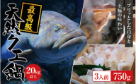 【冷蔵】天然 最高級クエ 20kg 以上  クエ鍋セット 3人前(250g×3) 【2025年11月下旬から2026年2月下旬までに順次発送致します。】 / 高級 海鮮 お魚 魚  くえ鍋 クエ鍋 くえ くえ天然 冷蔵 海産物【tkw011-1】
