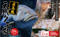 【冷凍】天然 最高級クエ 20kg 以上  クエ鍋セット 2人前(250g×2) 【2025年11月下旬から2026年2月下旬までに順次発送致します。】 / 高級 海鮮 お魚 魚  くえ鍋 クエ鍋 くえ くえ天然 冷凍 海産物【tkw010-2】