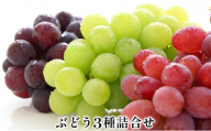 【先行予約】2025年産 ぶどう3種セット 約420g 果物 フルーツ デザート 食後 おやつ シャインマスカット 巨峰 ベニバラード 詰め合わせ 食べ比べ 信州 長野県産