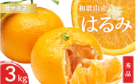 【先行予約】秀品 はるみ 和歌山 有田 S～2Lサイズ 大きさお任せ 3kg【1月下旬～3月下旬までに順次発送予定】/ みかん フルーツ 果物 くだもの 蜜柑 柑橘【ktn046】