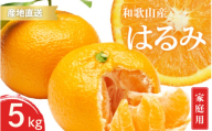 【先行予約】訳あり 家庭用 はるみ 和歌山 有田 S～3Lサイズ 大きさお任せ 5kg【1月下旬～3月下旬までに順次発送予定】/ みかん フルーツ 果物 くだもの 蜜柑 柑橘【ktn047】