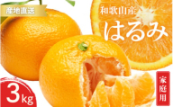【先行予約】訳あり 家庭用 はるみ 和歌山 有田 S～3Lサイズ 大きさお任せ 3kg【1月下旬～3月下旬までに順次発送予定】/ みかん フルーツ 果物 くだもの 蜜柑 柑橘【ktn048】