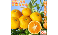 【ご家庭用訳あり】紀州有田産 すっきり爽やか 甘夏みかん 8kg  ※2026年3月上旬頃〜2026年3月下旬頃に順次発送予定 / 甘夏 あまなつ みかん ミカン 蜜柑 温州みかん 柑橘 フルーツ 果物 くだもの 和歌山【uot847】